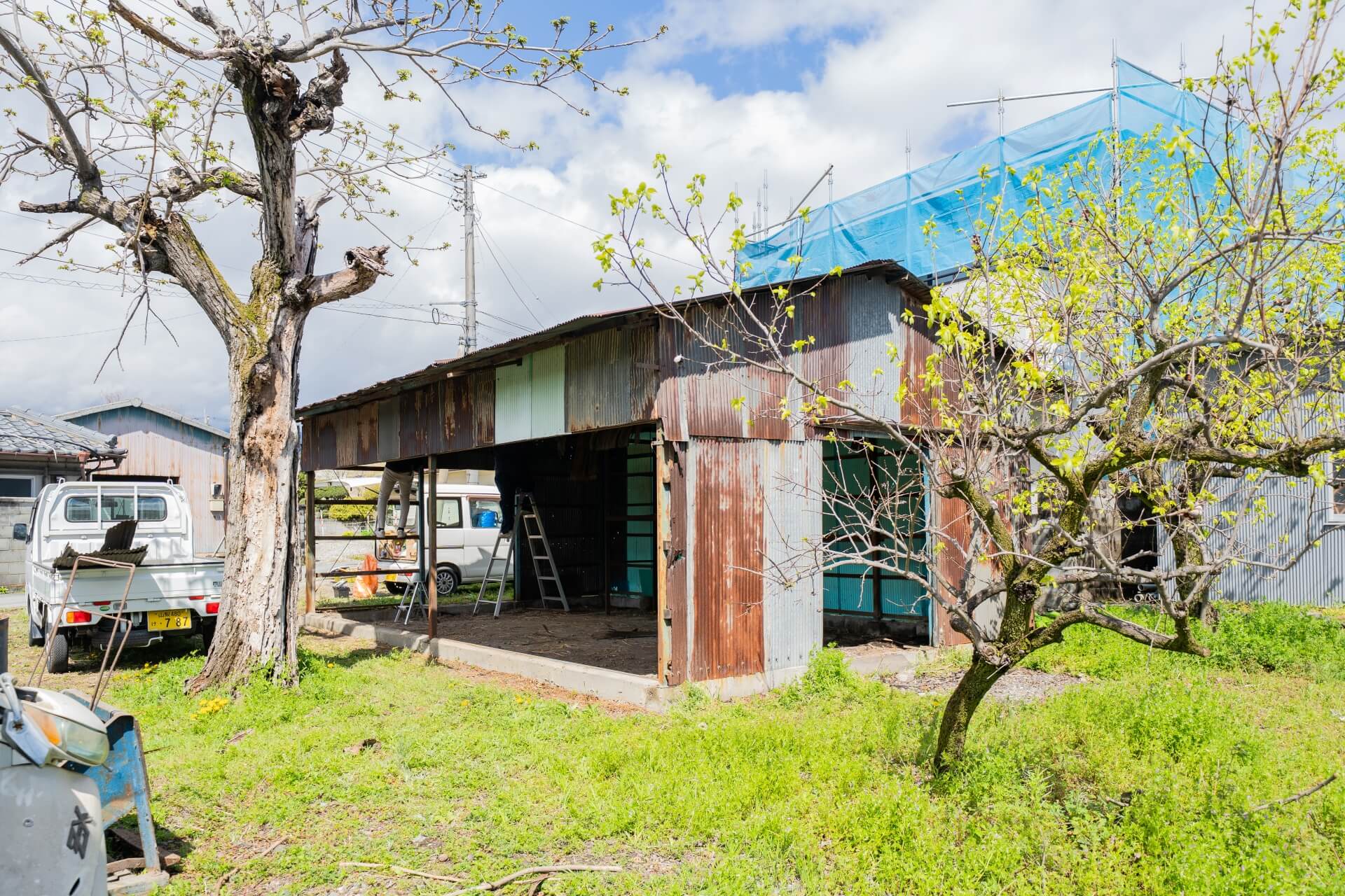 トタン張りの古い小屋を解体中の様子。はしごや脚立を使って作業する人たちと、周囲に広がる草木。