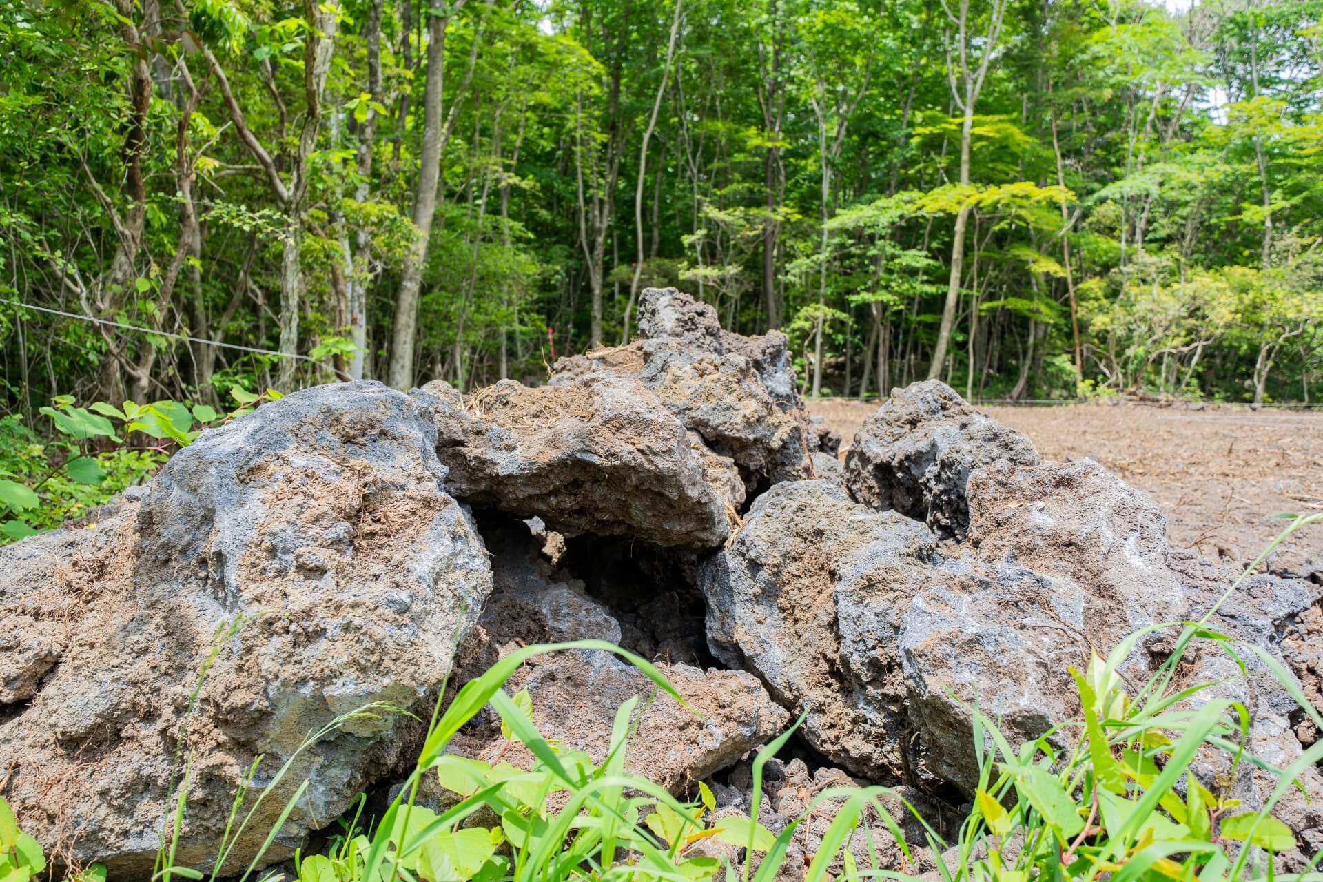 山梨県富士ケ嶺の敷地内から掘り出された溶岩石の写真。自然の地層が感じられる。