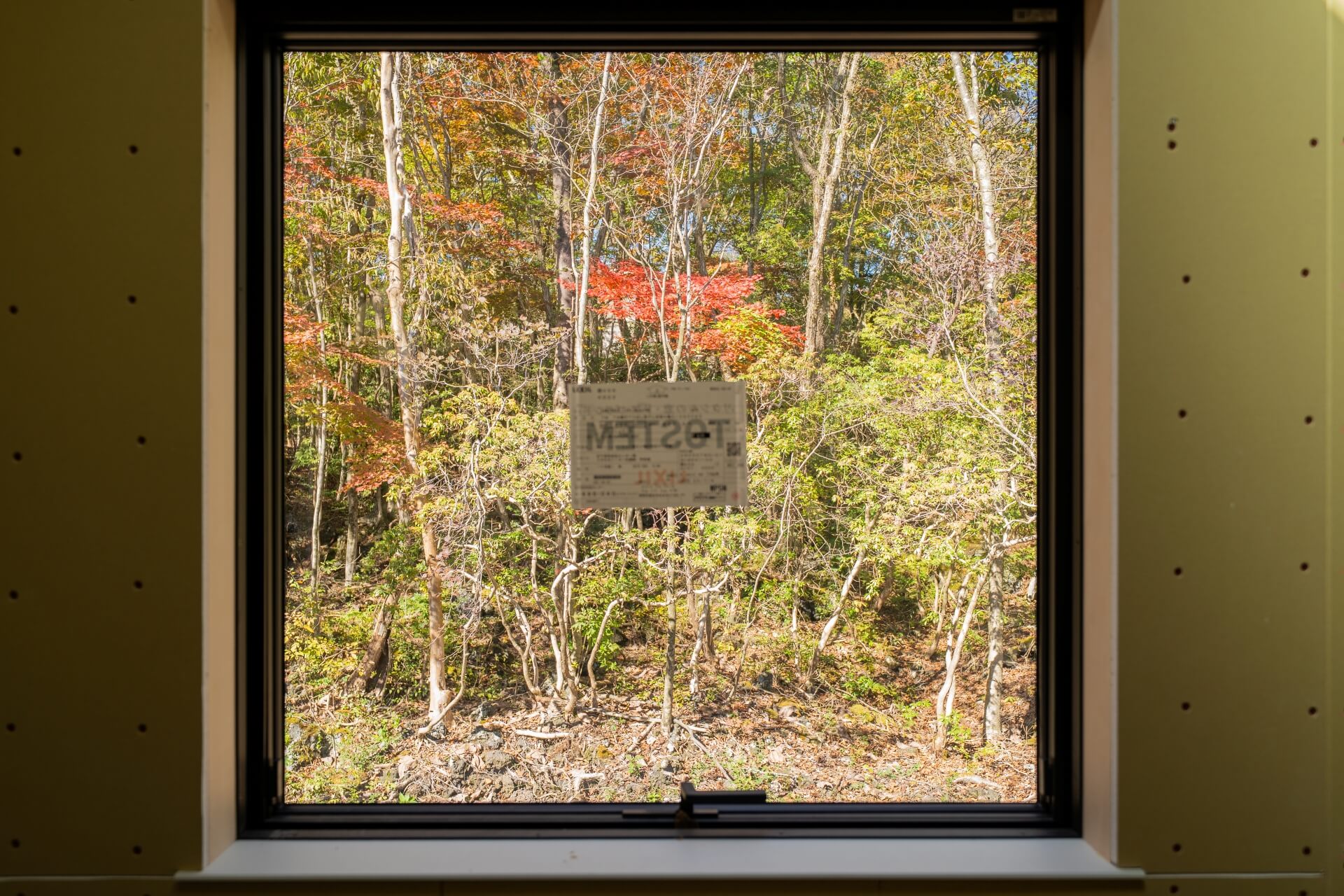 山梨県富士ケ嶺で建築中のヴィラの洋室から見える景色。薄っすら紅葉している。